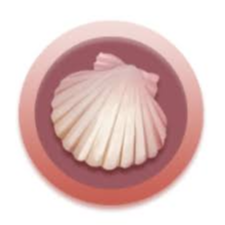 <br />
<b>Warning</b>: Array to string conversion in <b>/www/wwwroot/www.soubtc.com/wp-content/themes/btc/archive-coin.php</b> on line <b>102</b><br />
Array