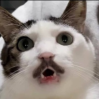 <br />
<b>Warning</b>: Array to string conversion in <b>/www/wwwroot/www.soubtc.com/wp-content/themes/btc/archive-coin.php</b> on line <b>102</b><br />
Array