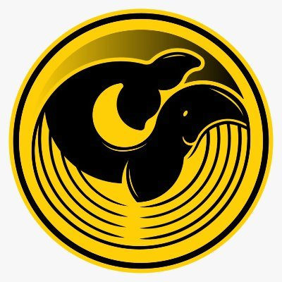 <br />
<b>Warning</b>: Array to string conversion in <b>/www/wwwroot/www.soubtc.com/wp-content/themes/btc/archive-coin.php</b> on line <b>102</b><br />
Array