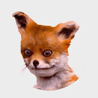 <br />
<b>Warning</b>: Array to string conversion in <b>/www/wwwroot/www.soubtc.com/wp-content/themes/btc/archive-coin.php</b> on line <b>102</b><br />
Array